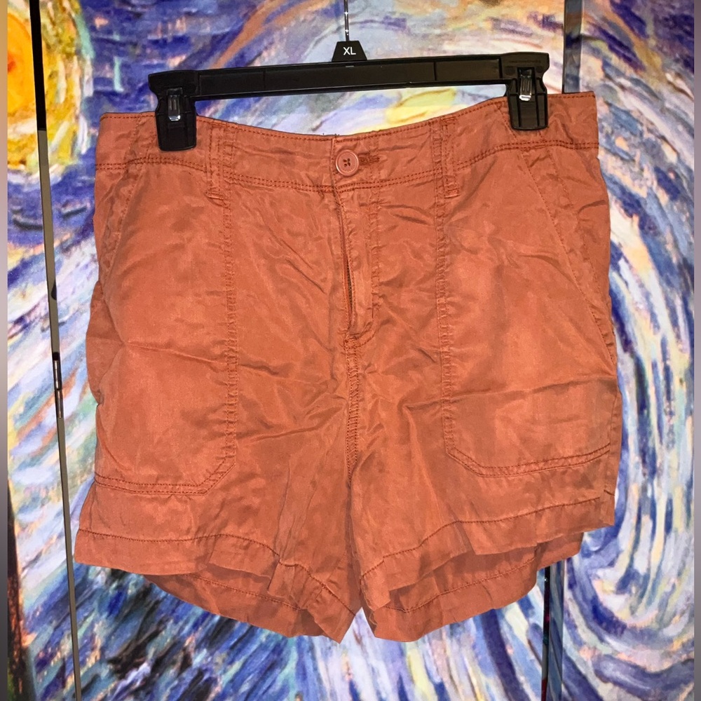 Social Standard small rust shorts